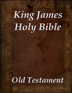 king james holy bible book cover image