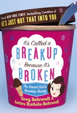 it's called a breakup because it's broken book cover image