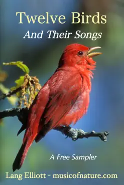 twelve birds and their songs book cover image