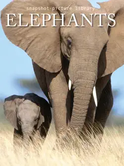 elephants book cover image
