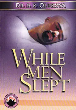 while men slept book cover image