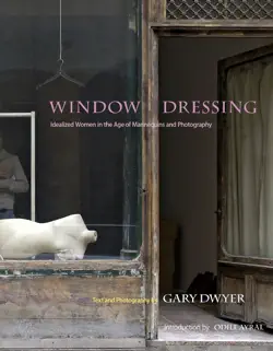window dressing book cover image