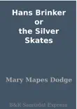 Hans Brinker or the Silver Skates synopsis, comments