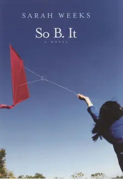 so b. it book cover image
