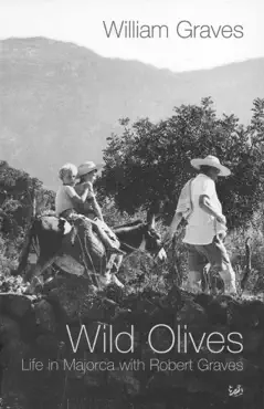 wild olives imagen de la portada del libro