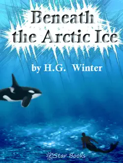 beneath the arctic ice book cover image