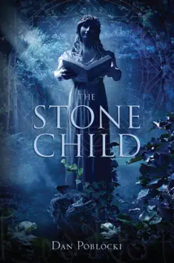 the stone child book cover image