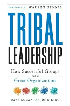 tribal leadership book cover image