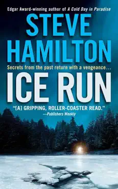 ice run book cover image