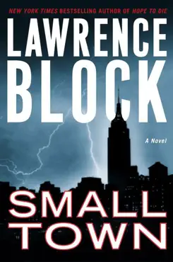 small town book cover image