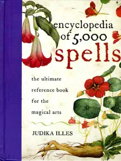 encyclopedia of 5,000 spells book cover image