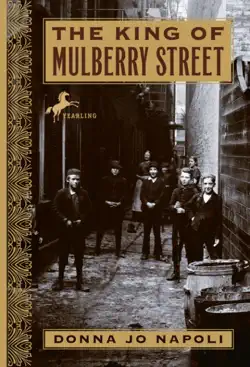 the king of mulberry street book cover image