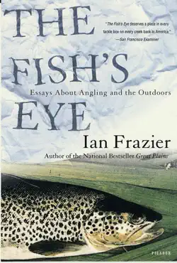 the fish's eye book cover image