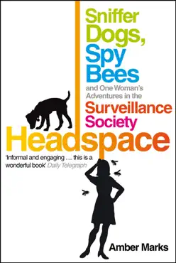 headspace book cover image