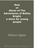 Now or Never of The Adventures of Bobby Bright, a story for young people synopsis, comments