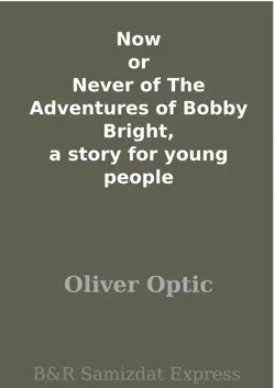 now or never of the adventures of bobby bright, a story for young people book cover image