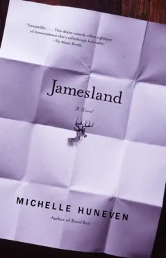 jamesland book cover image