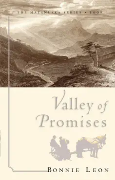 valley of promises book cover image