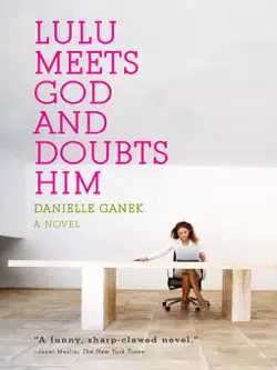 lulu meets god and doubts him book cover image