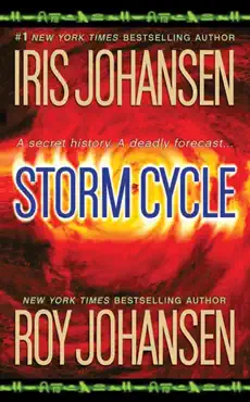 storm cycle book cover image