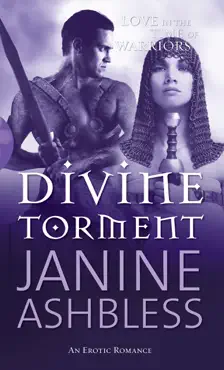 divine torment book cover image