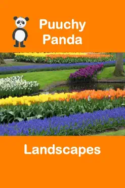 puuchy panda landscapes book cover image