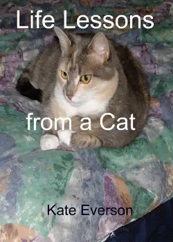 life lessons from a cat imagen de la portada del libro