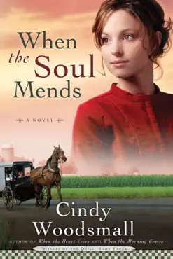 when the soul mends book cover image