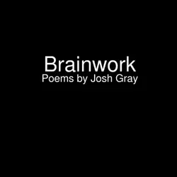 brainwork book cover image