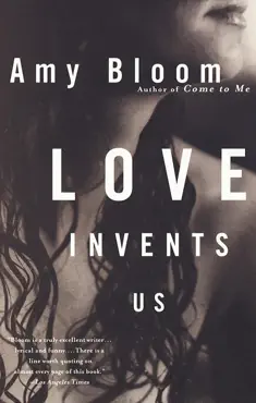 love invents us book cover image
