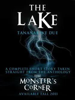 the lake book cover image