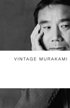 vintage murakami book cover image
