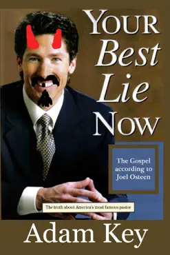 your best lie now book cover image