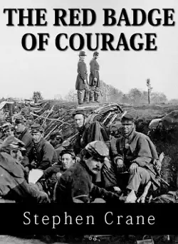 the red badge of courage audio edition book cover image