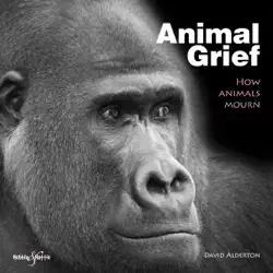 animal grief book cover image