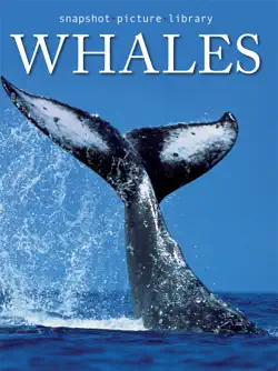 whales book cover image