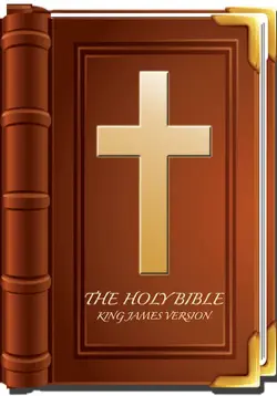 the holy bible - kjv book cover image