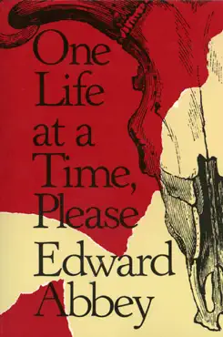 one life at a time, please book cover image