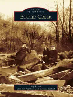 euclid creek book cover image