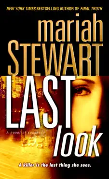last look book cover image