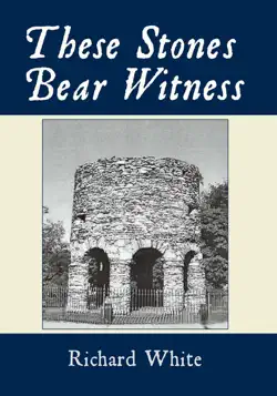 these stones bear witness book cover image