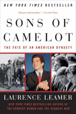sons of camelot book cover image