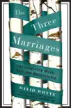 The Three Marriages synopsis, comments