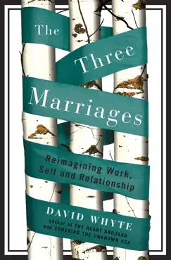 the three marriages book cover image