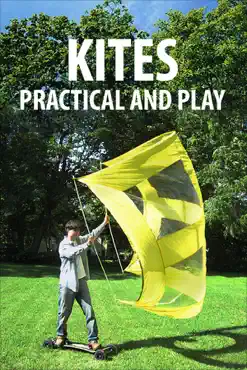 kites, practical and play book cover image