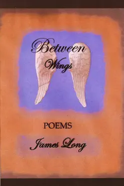 between wings book cover image