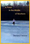 A Pond in the Middle of Nowhere synopsis, comments