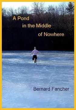 a pond in the middle of nowhere book cover image