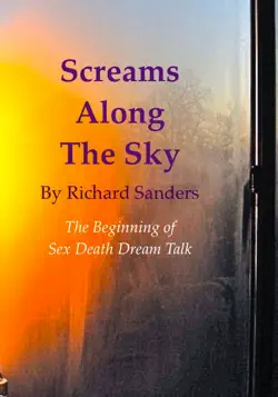 screams along the sky book cover image
