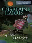 Grave Surprise synopsis, comments
